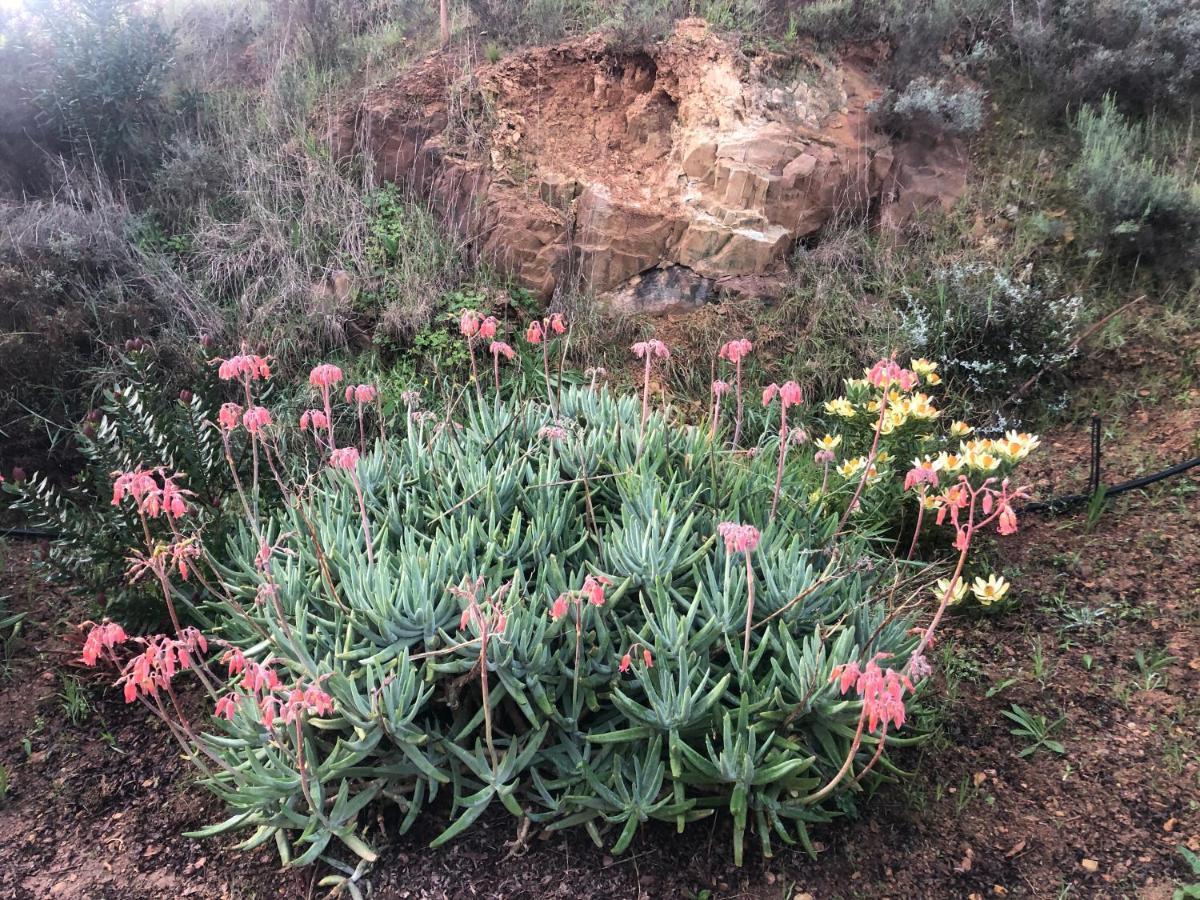 Inn On Highlands Grabouw Esterno foto